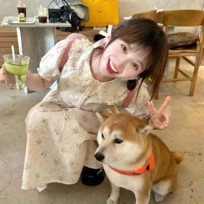 王牌特派员